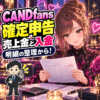 CANDfansの月々の明細と入金を確認する女性クリエイターと税理士のイラスト